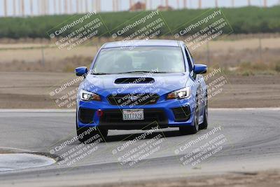 media/Jul-31-2022-Speed Ventures (Sun) [[bfb4b6530b]]/Black Group/Grapevine/